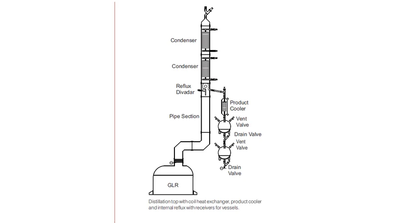   Glass Lined Reactor Assembly
