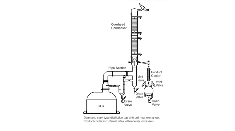   Glass Lined Reactor Assembly